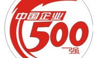 2015年中國上市企業(yè)500強分析