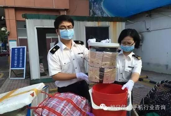 女子用水桶、臺秤夾藏49部iPhone過海關