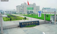 手機鏡頭業(yè)務崛起 舜宇光學由“走”變“跑”