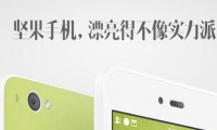 堅(jiān)果手機(jī)能拯救錘子和羅永浩嗎？