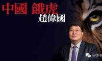 趙偉國(guó)：其實(shí)你不懂我的“芯”