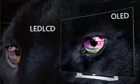 OLED對比LEDLCD：哪種屏幕技術(shù)更勝一籌？