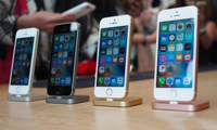 Android要滅門？這才是蘋果推iPhone SE真相
