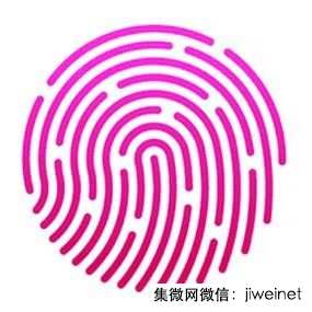 2021年生物識(shí)別市場(chǎng)規(guī)模逾300億