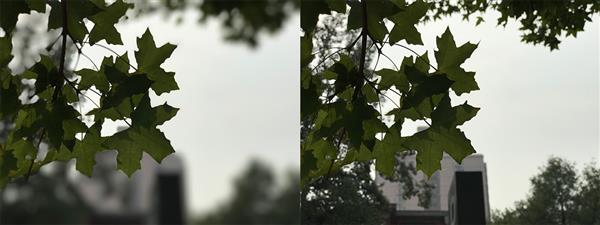 iPhone 7 Plus拍照虛化到底怎樣？實(shí)拍大吃一驚