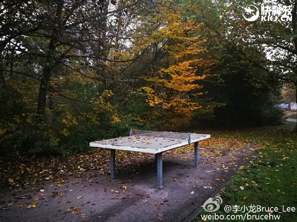 徠卡雙攝逆天！華為Mate 9實(shí)拍樣張首曝：給力