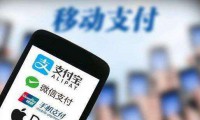 2016年支付業(yè)務(wù)統(tǒng)計(jì)數(shù)據(jù)：移動支付筆數(shù)漲85.82%