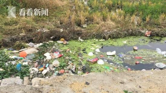 從舊手機(jī)中提煉黃金 每年數(shù)噸