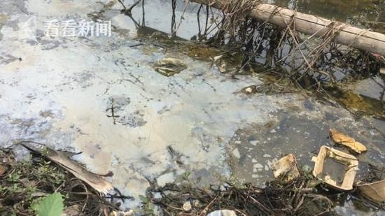 從舊手機(jī)中提煉黃金 每年數(shù)噸