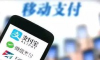 焦點：預(yù)計2017年移動支付用戶高達5.6億