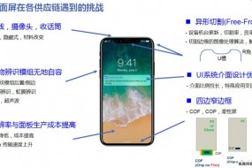 全面屏設(shè)計(jì)設(shè)計(jì)推動(dòng)觸控顯示驅(qū)動(dòng)一體化芯片將達(dá)1億顆