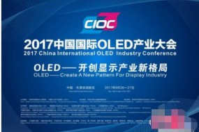 500行業(yè)精英聚首OLED產(chǎn)業(yè)大會