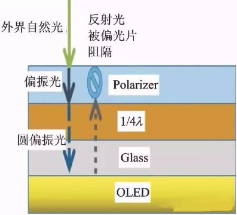 OLED用偏光片發(fā)展歷程、功能、效用、市場預(yù)測