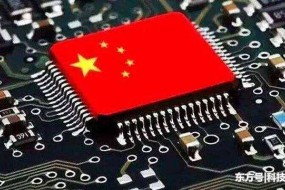 中央政府采購(gòu)支持國(guó)產(chǎn)芯片： 龍芯、申威等入列政府采購(gòu)名錄