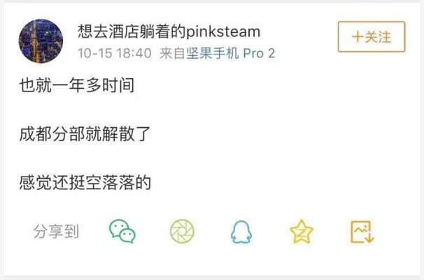 傳錘子解散成都分公司 才搬遷1年羅永浩就頂不住？
