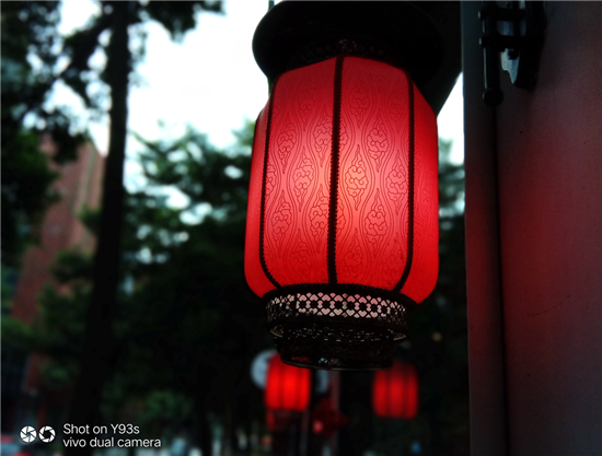 vivo Y93s拍照實(shí)測(cè)：AI加持，高顏值千元拍照利器