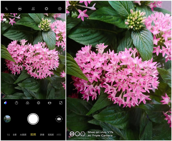 vivo Y7s拍照實(shí)測(cè)：玩轉(zhuǎn)全場(chǎng)景，打造獨(dú)一無(wú)二的儀式感