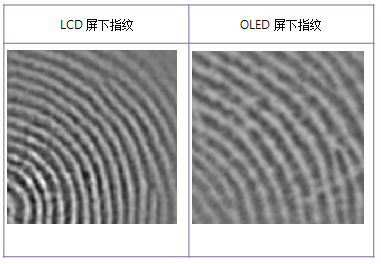 博觀約取，厚積薄發(fā)—揭秘思立微LCD屏下指紋方案