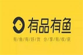 別樣雙11！有品有魚(yú)會(huì)員服務(wù)制電商強(qiáng)勢(shì)來(lái)襲 省心省力省時(shí)省事