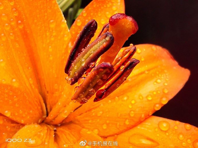 iQOO Z3重磅發(fā)布，三大性能刷新千元性能入門(mén)機(jī)標(biāo)準(zhǔn)