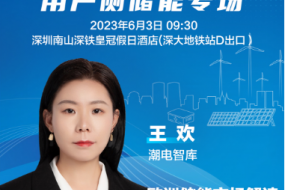 大咖來襲|潮電智庫王歡邀您參會(huì)，帶來歐洲儲(chǔ)能市場解讀